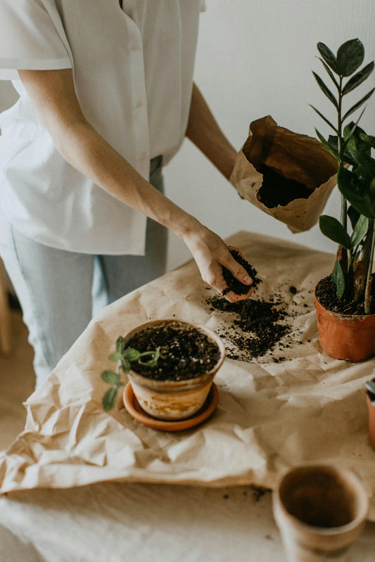 🌱 Why Your Plants Are Struggling And How Worm Castings Can Save Them